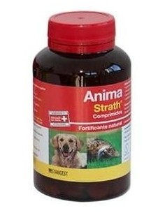 Anima Strath Perros Y Gatos 240Comp. de Stangest Vet 2