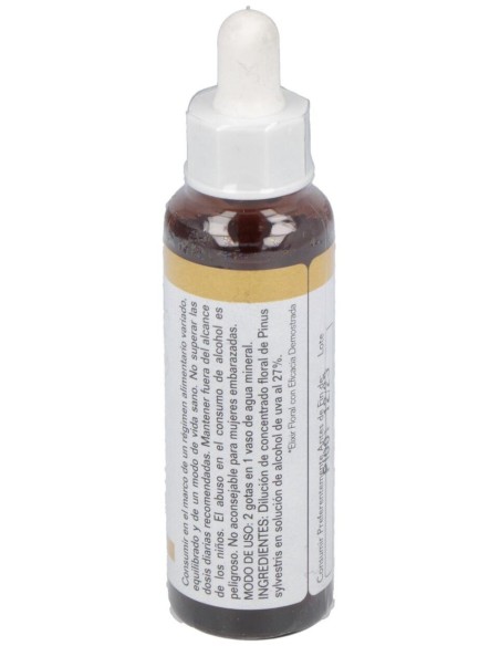 Pine 20Ml. de Elidyn