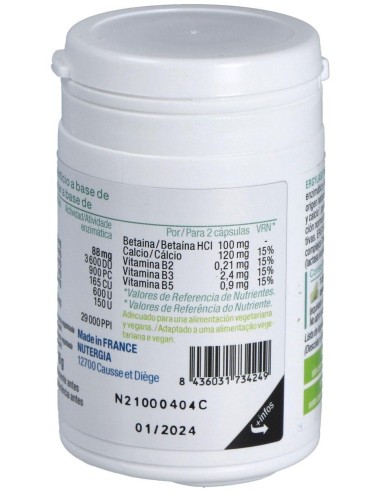 Ergylase Plus 40Cap. de Nutergia