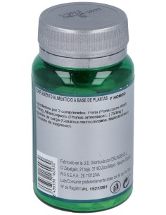 Base Definido 3Qp 60Comp. de Erlingen 2