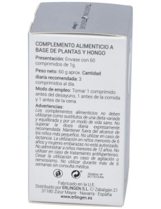 Base Definido 16B We Dan Tang 60Comp. de Erlingen 2