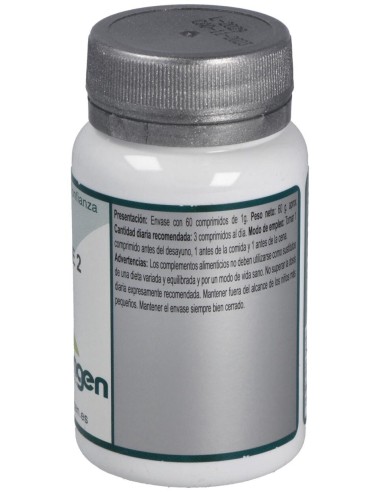 Base 2 60Comp. de Erlingen