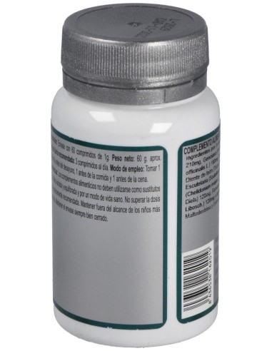 Base 2 60Comp. de Erlingen