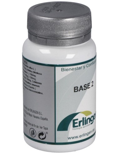 Base 2 60Comp. de Erlingen