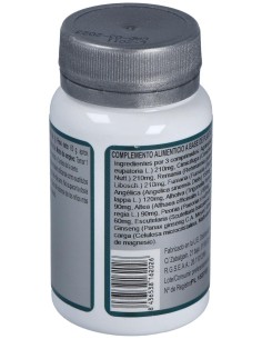 Base 2E 60Comp. de Erlingen 2