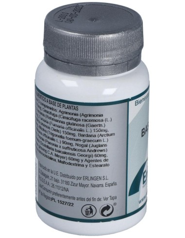 Base 2E 60Comp. de Erlingen