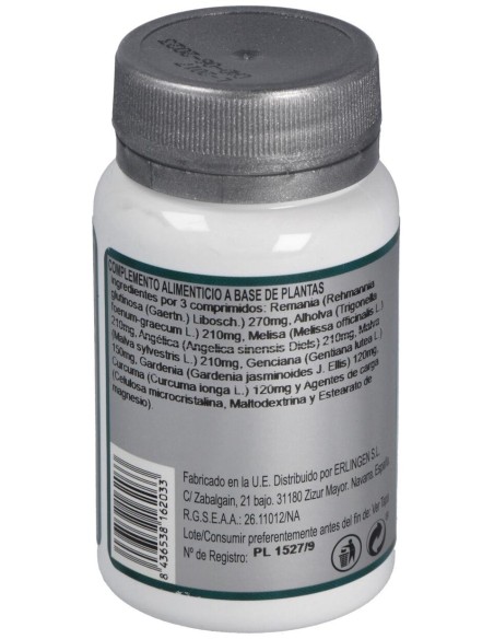 Base 2C 60Comp. de Erlingen