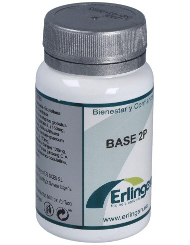 Base 2P 60Comp. de Erlingen