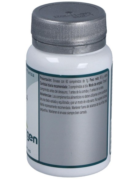 Base 4 60Comp. de Erlingen