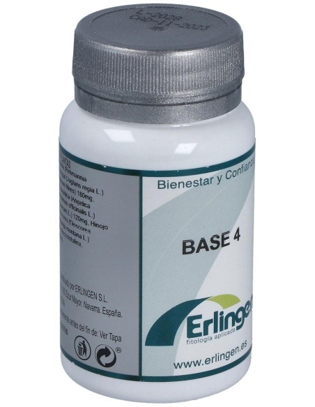 Base 4 60Comp. de Erlingen