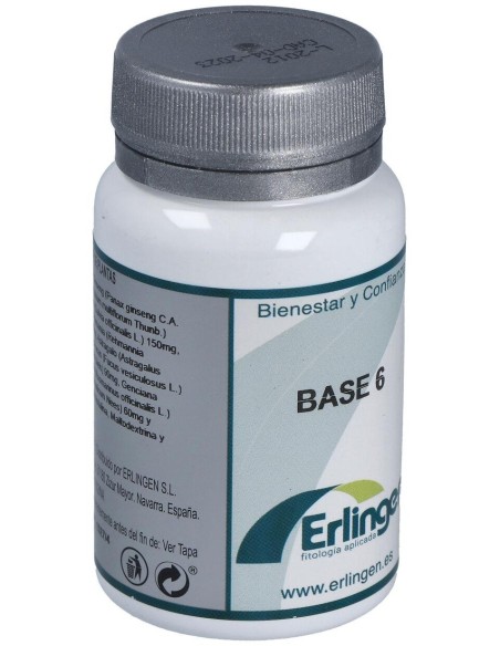 Base 6 60Comp. de Erlingen