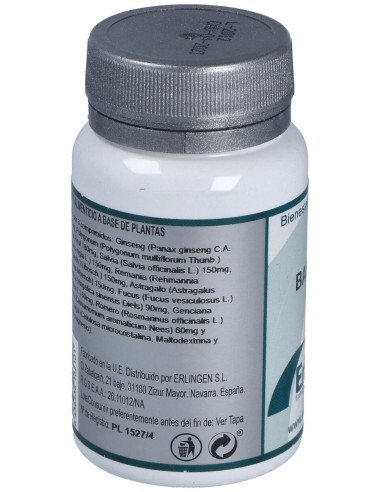 Base 6 60Comp. de Erlingen