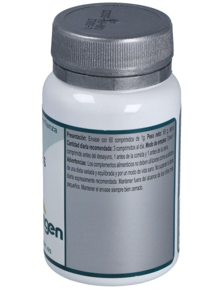 Base 6 60Comp. de Erlingen