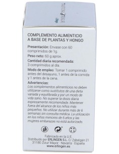 Base 14 60Comp. de Erlingen 2