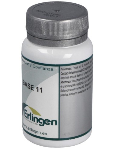 Base 11 60Comp. de Erlingen