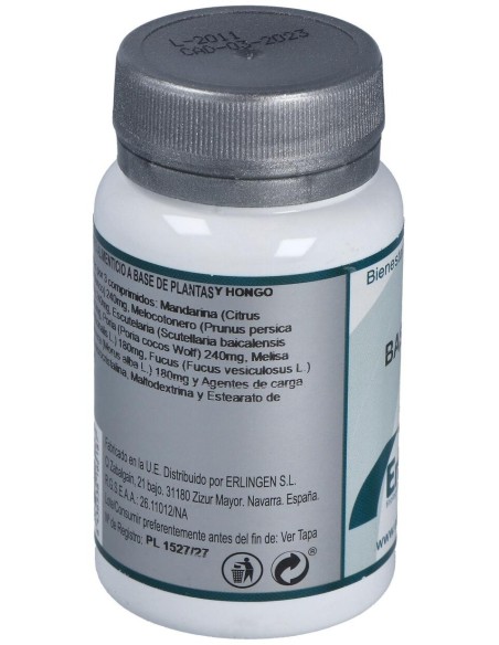 Base 16 60Comp. de Erlingen