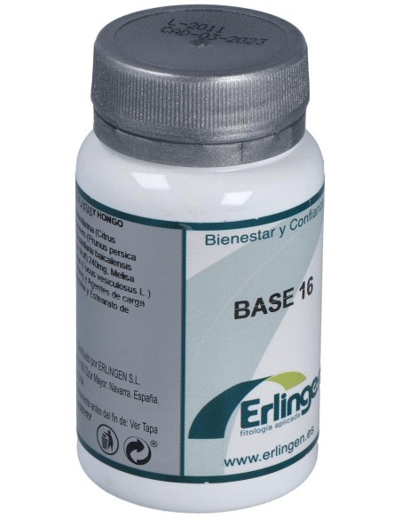 Base 16 60Comp. de Erlingen