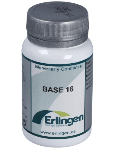 Base 16 60Comp. de Erlingen