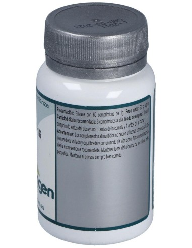 Base 16 60Comp. de Erlingen