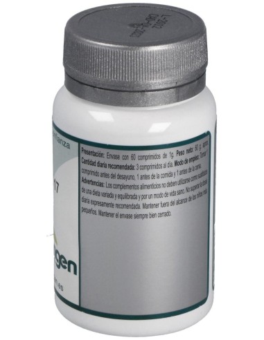 Base 17 60Comp. de Erlingen