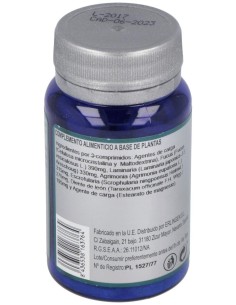 Especifico 53A 60Comp. de Erlingen 2