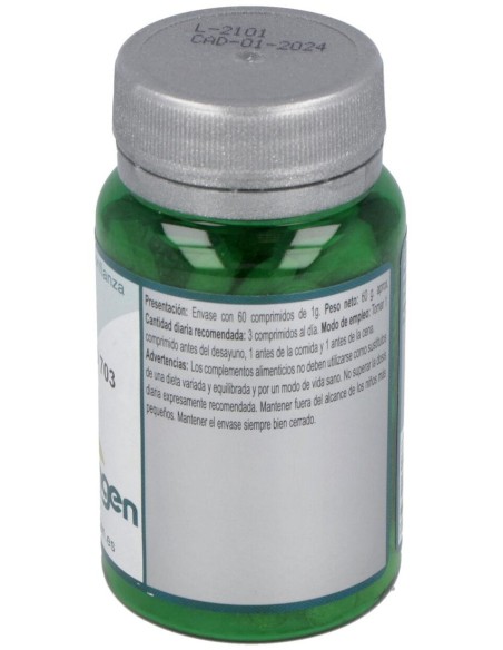 Base Definido 703 60Comp. de Erlingen