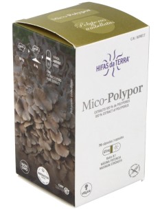 Mico Polypor (Polyporus) Hdt 70Cap. de Hifas Da Terra - Hdt 2