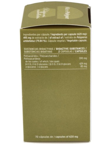 Mico Polypor (Polyporus) Hdt 70Cap. de Hifas Da Terra - Hdt