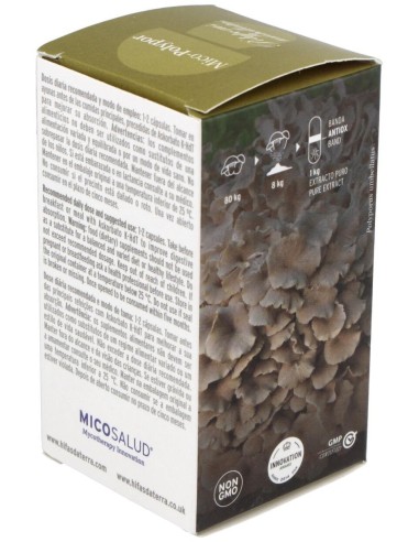 Mico Polypor (Polyporus) Hdt 70Cap. de Hifas Da Terra - Hdt