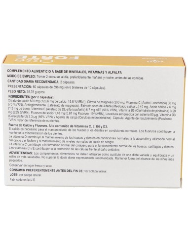 Osse Forte 60Cap. de Internature