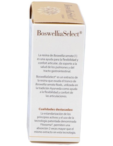 Boswelliaselect 60Cap. de Cien Por Cien Natural