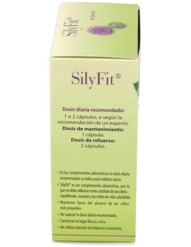 Silyfit 60Cap. de Cien Por Cien Natural