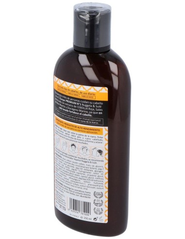 Nuggela & Sule Champu Extracto De Cebolla 250Ml. de Nuggela & Sule