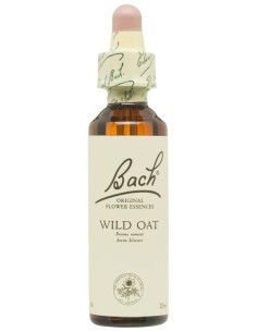 (36) Wild Oat  de Bach 2