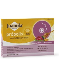 Juanola Past Propolis Hedera-Miel-Frut Bosque 24Ud de Juanola 2