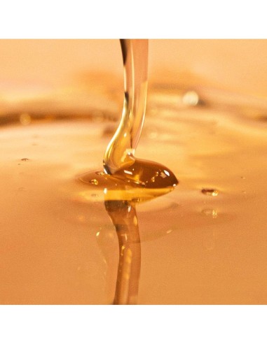 Champu Epigenetico Anti Caspa 250Ml. de Nuggela & Sule