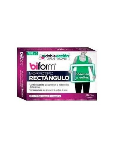 Morfotipo Rectangulo 28Cap. de Dietisa (Dielisa)