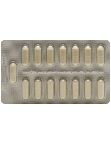 Lactibiane Reference 30Cap. de Pileje