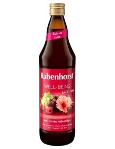 Zumo Well-Being Con Hierro 750Ml de Rabenhorst 2