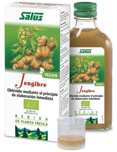 Jugo De Jengibre 200Ml. Schoenenberger de Salus 2