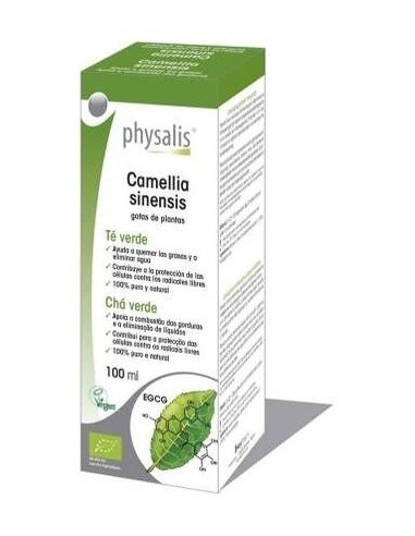 Tintura Camellia sinensis (Té Verde) de Physalis