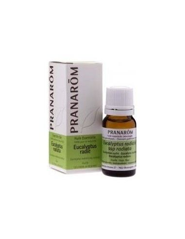 Eucalipto Radiata Hoja 10 Ml de Pranarom