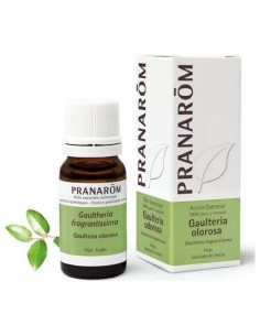 Gaulteria Olorosa Hoja Aceite Esencial Bio 10Ml. de Pranarom Aceites 2