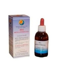 Msa Betula Pubencens Yemas 50Ml. de Herboplanet 2