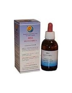 Msa Ficus Carica Yemas Higuera 50Ml. de Herboplanet 2