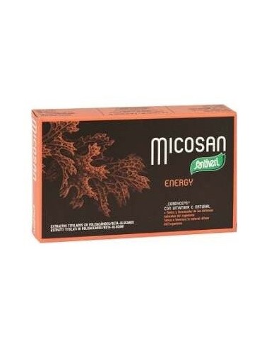 Micosan Energy 40Cap. de Santiveri