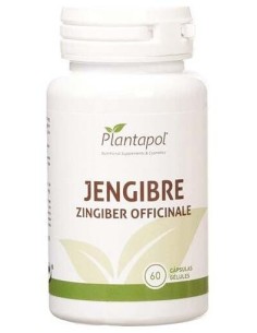 Jengibre (60 Cápsulas 600 Mg) de Plantapol 2