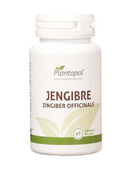 Jengibre (60 Cápsulas 600 Mg) de Plantapol