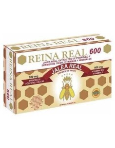 Reina Real 600Mg. 20Amp. de Robis 2