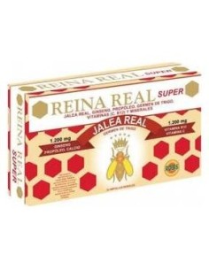 Reina Real Super 20Amp de Robis 2